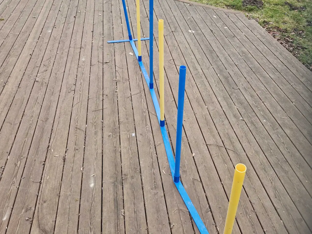 Billede 6 - Slalom i plastik - agility