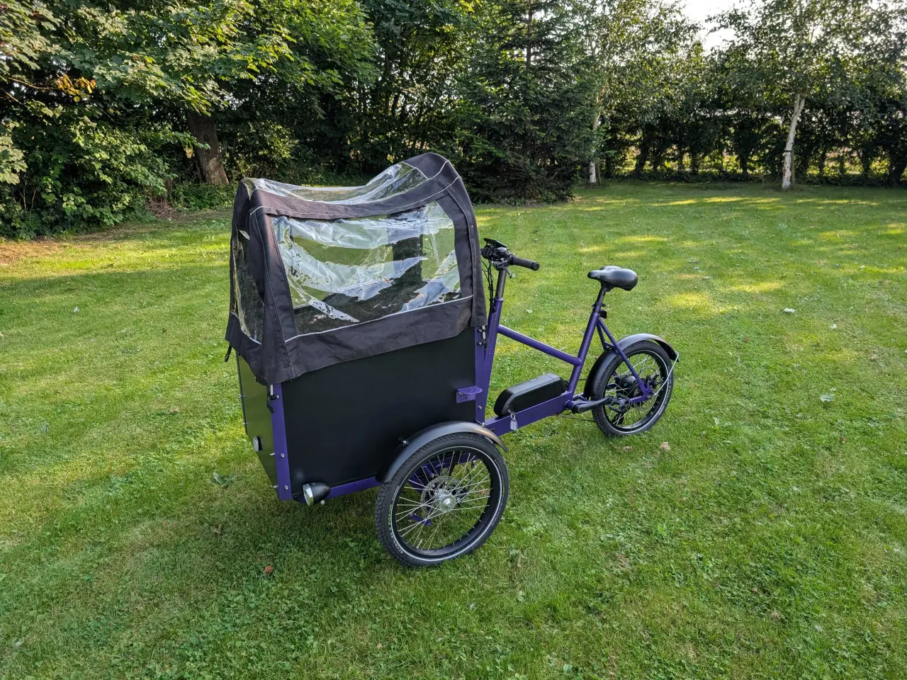 Billede 9 - Cargokid ladcykel 