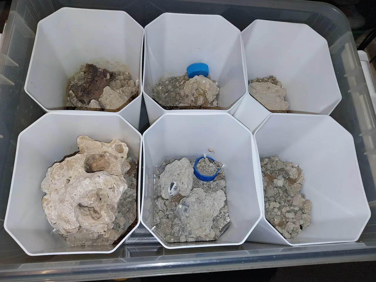 Billede 2 - Plastikkasse med 6 beholdere.Egnet til Skorpioner