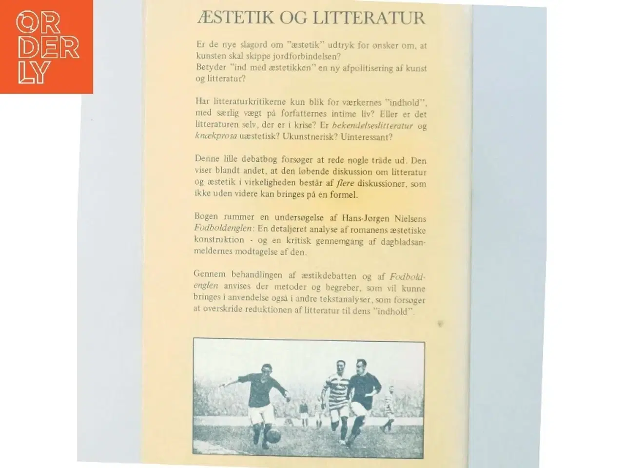 Billede 5 - Morten Kyndrup: Æstetik og litteratur