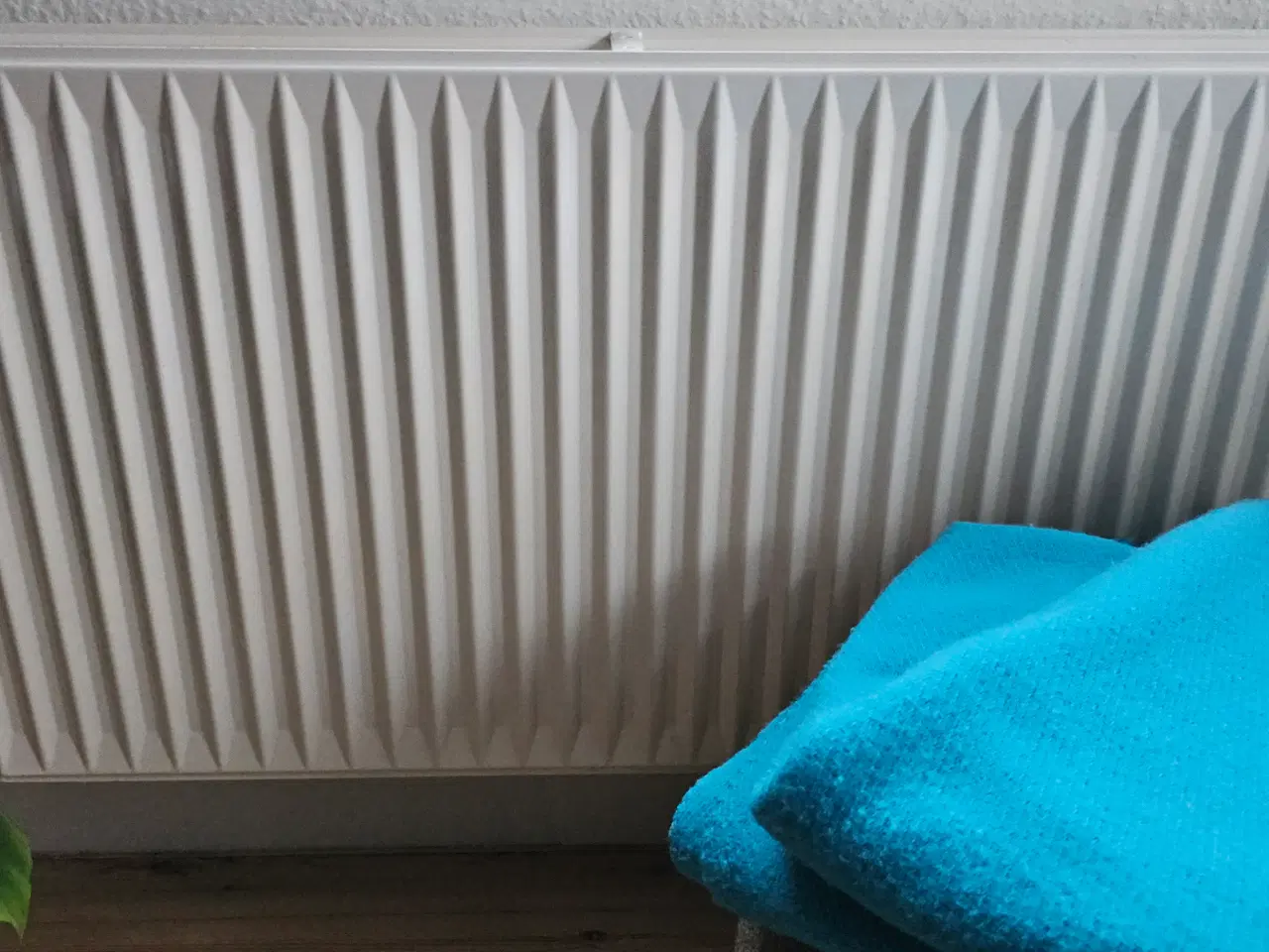 Billede 1 - Radiator 3pl 55x100 købes