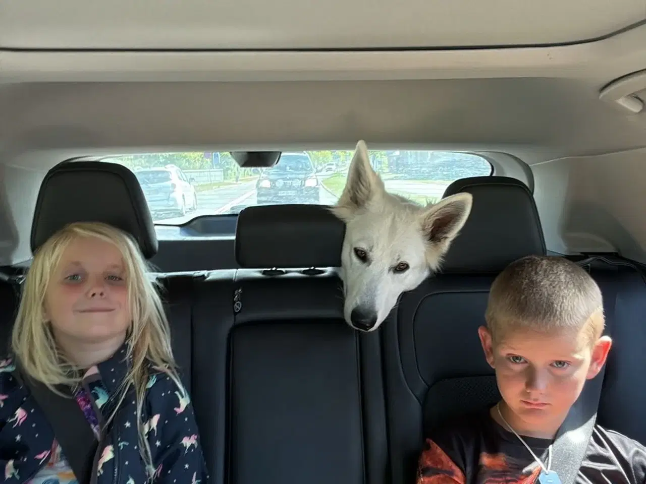 Billede 9 - Mangler du en blød julegave 