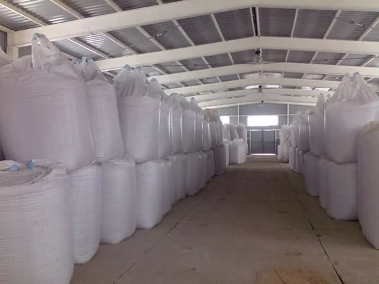 Billede 3 - Gul majs dyrket og forarbejdet med præcision