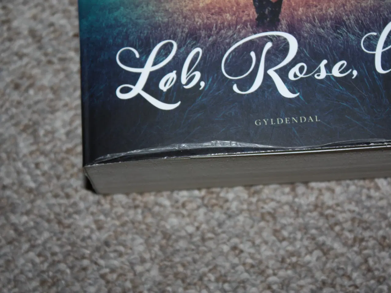 Billede 2 - Løb, Rose, løb af Dolly Parton og James Patterson