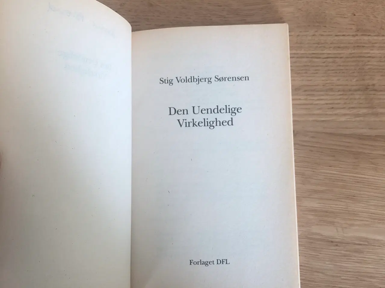 Billede 2 - Stig Voldbjerg Sørensen: Den uendelige virkelighed