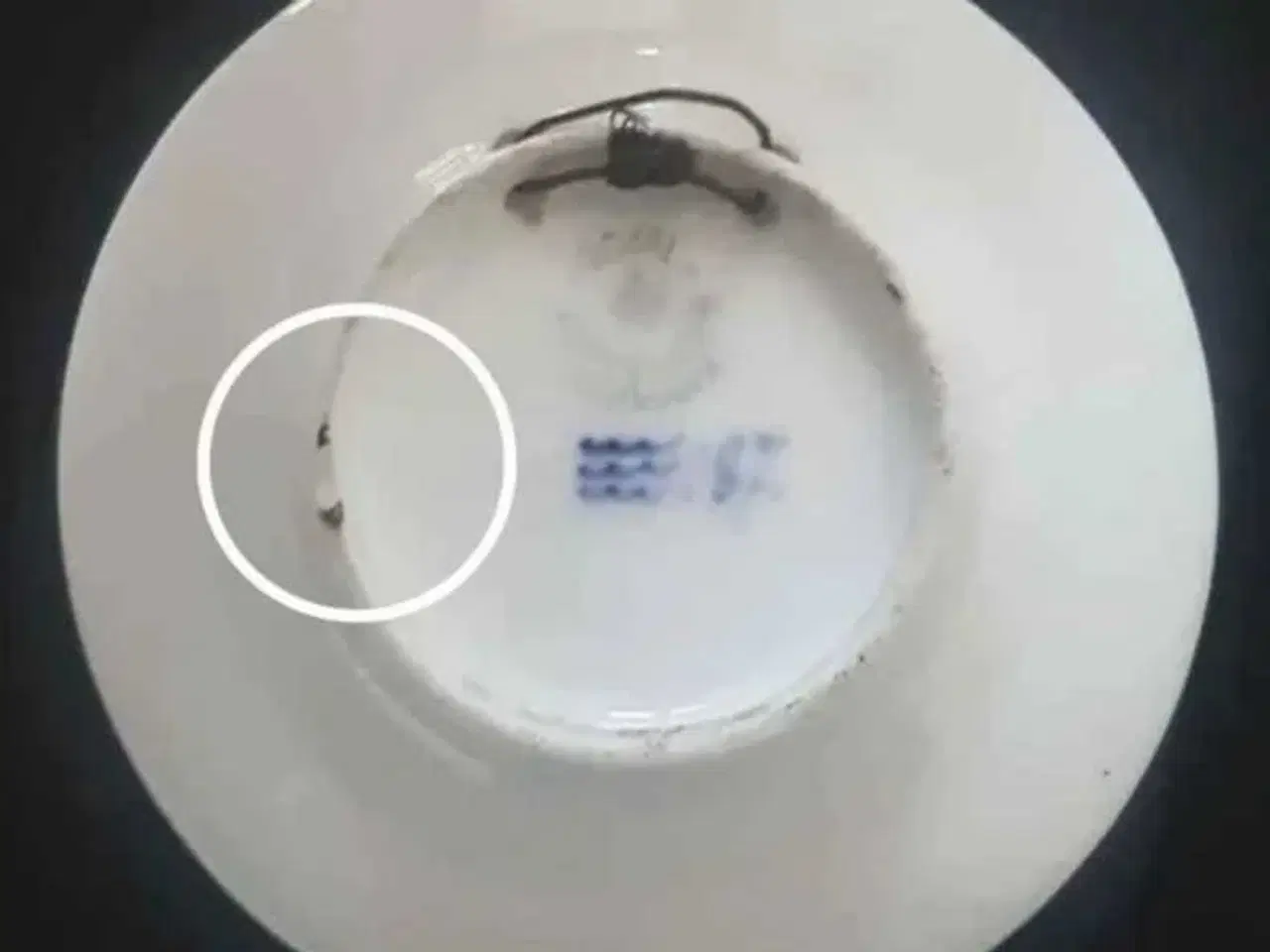 Billede 3 - Forhandlerplatte - Royal Copenhagen