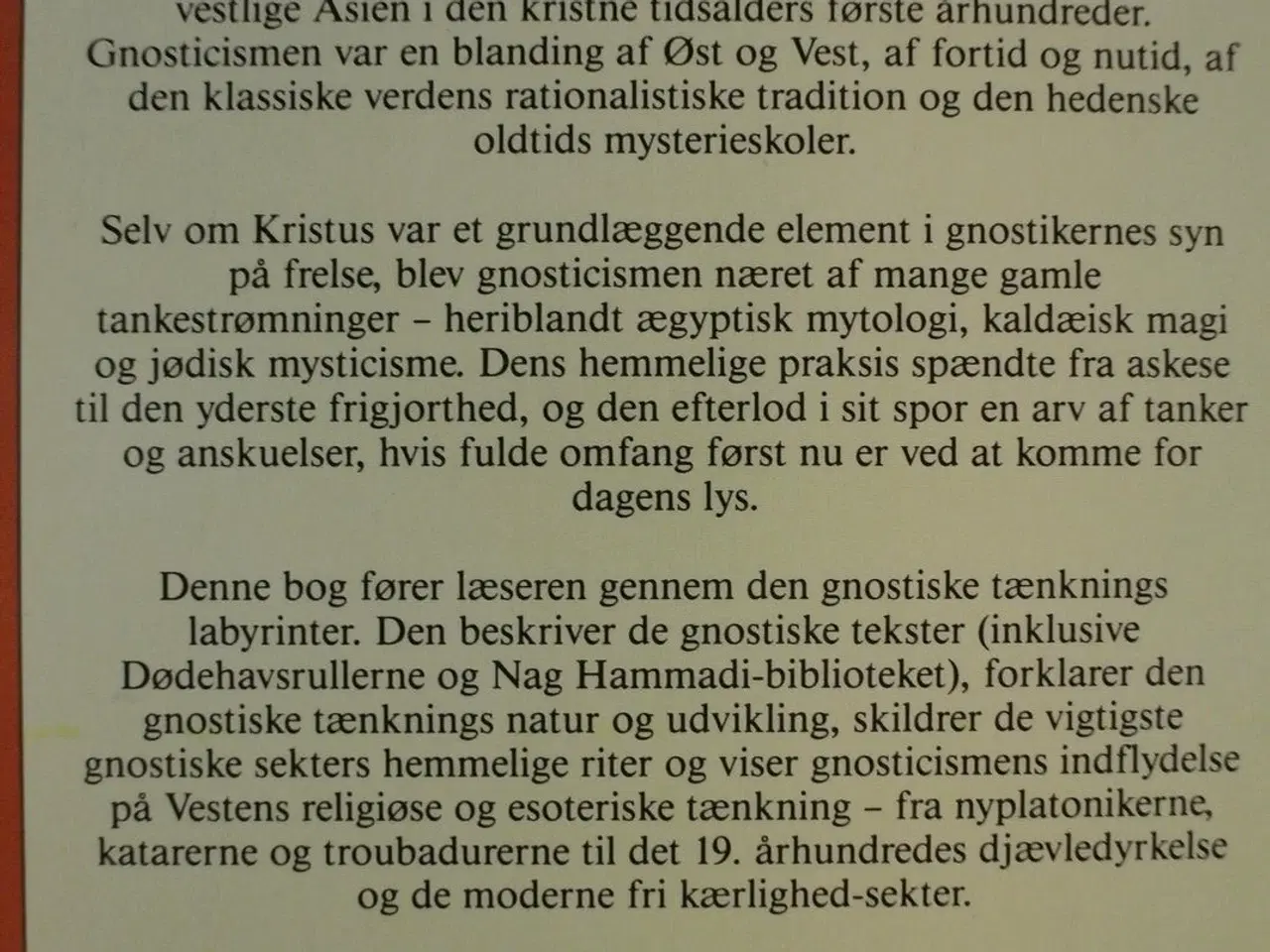 Billede 4 - gnostikerne deres historie, skrifter og filosofi, 