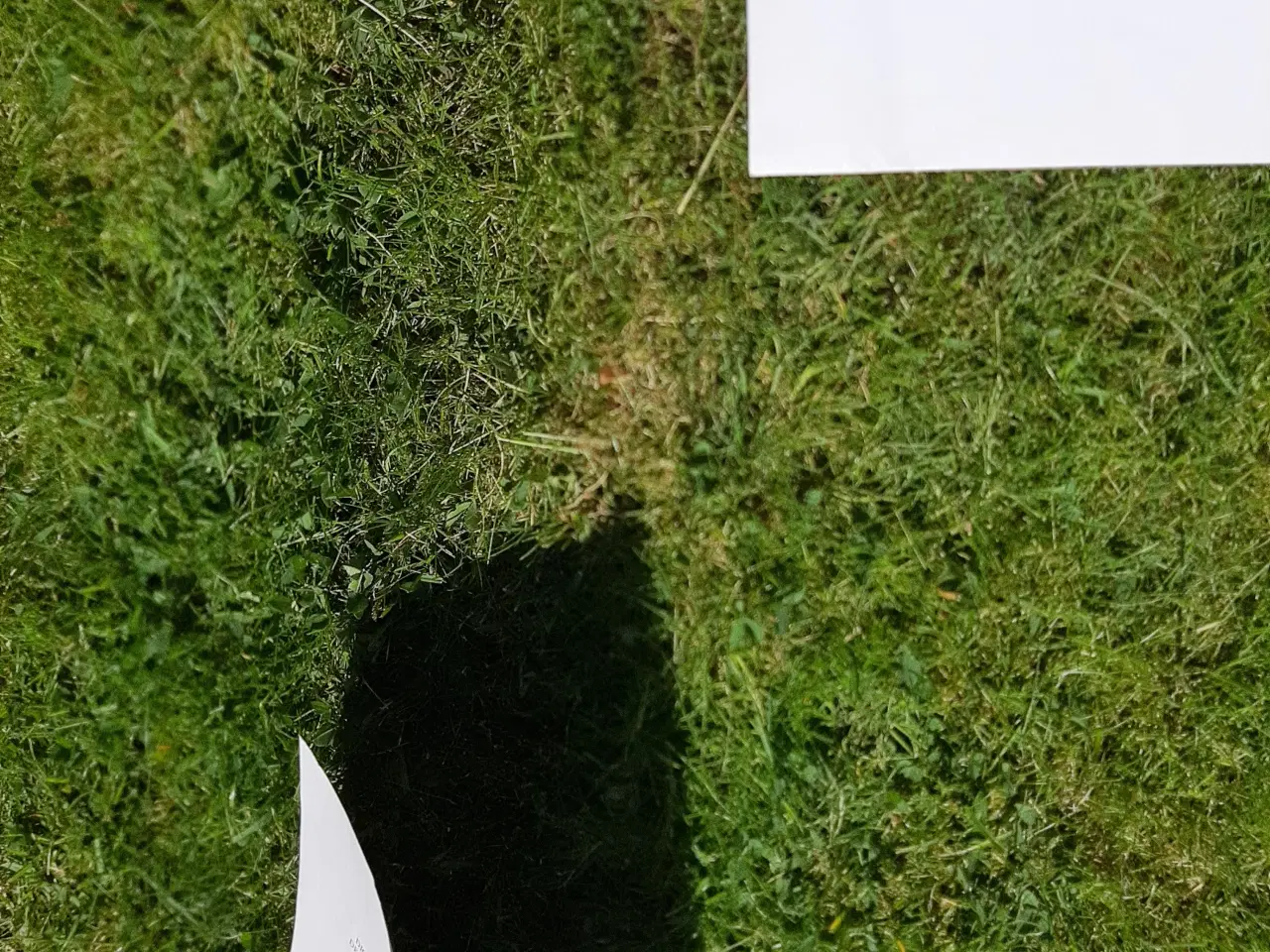 Billede 17 - Selekta 2 HK kompressor