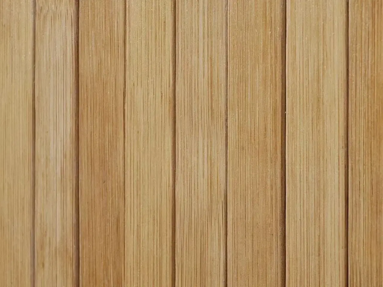 Billede 2 - Rumdeler 250x165 cm bambus naturfarvet