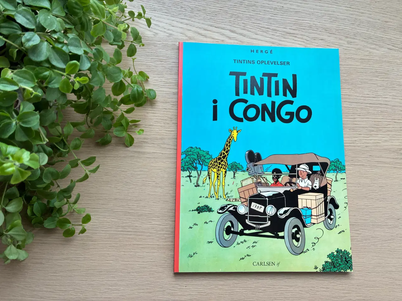 Billede 1 - Tintin i Congo   -  Tintins Oplevelser