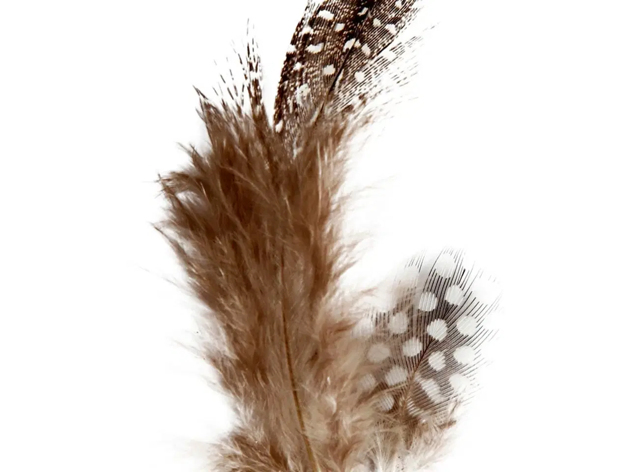 Billede 1 - Brune Perlehønsfjer - 3g til Kreative Projekter