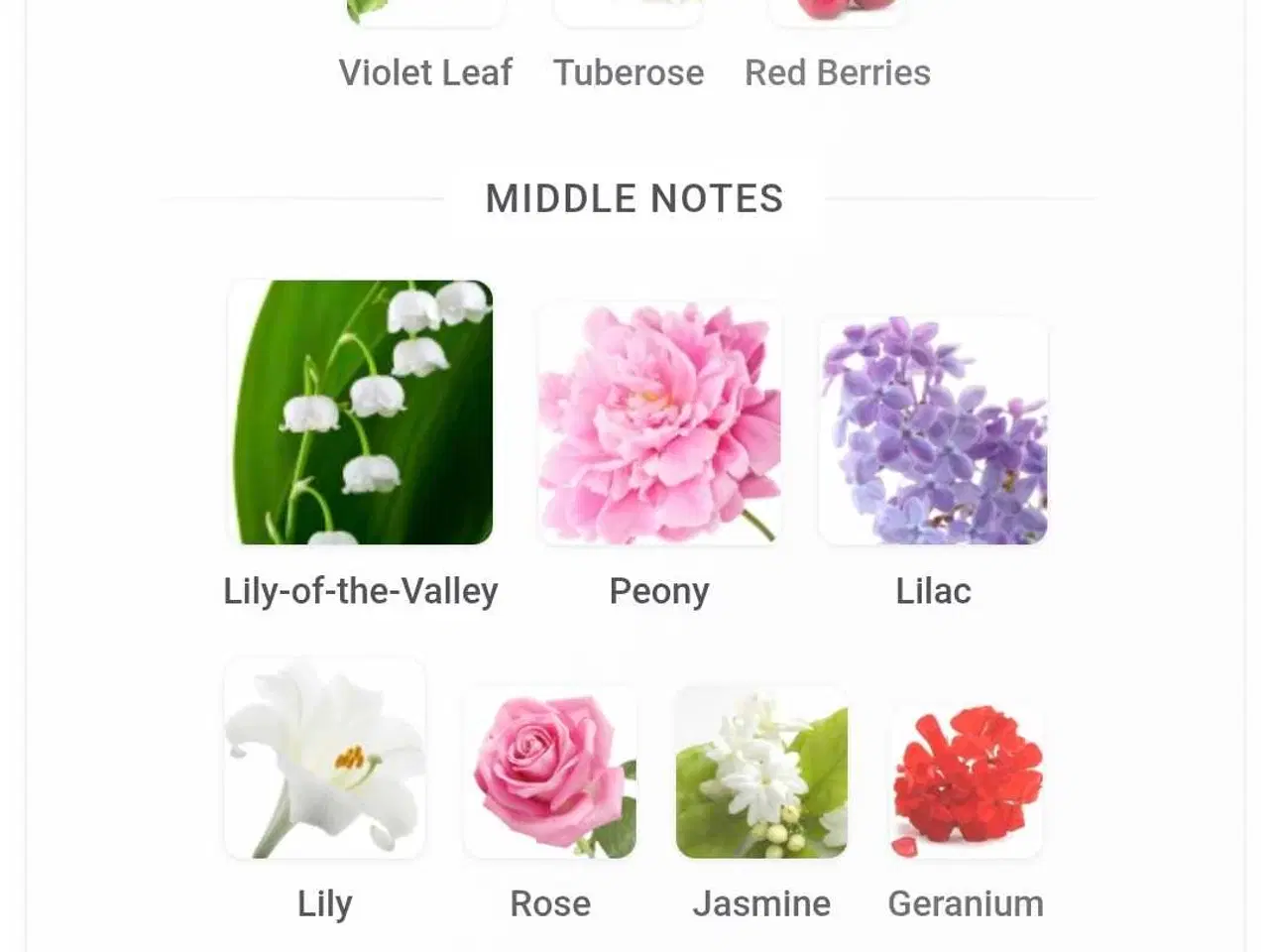 Billede 8 - Pleasures - Estée Lauder - 5 ml.