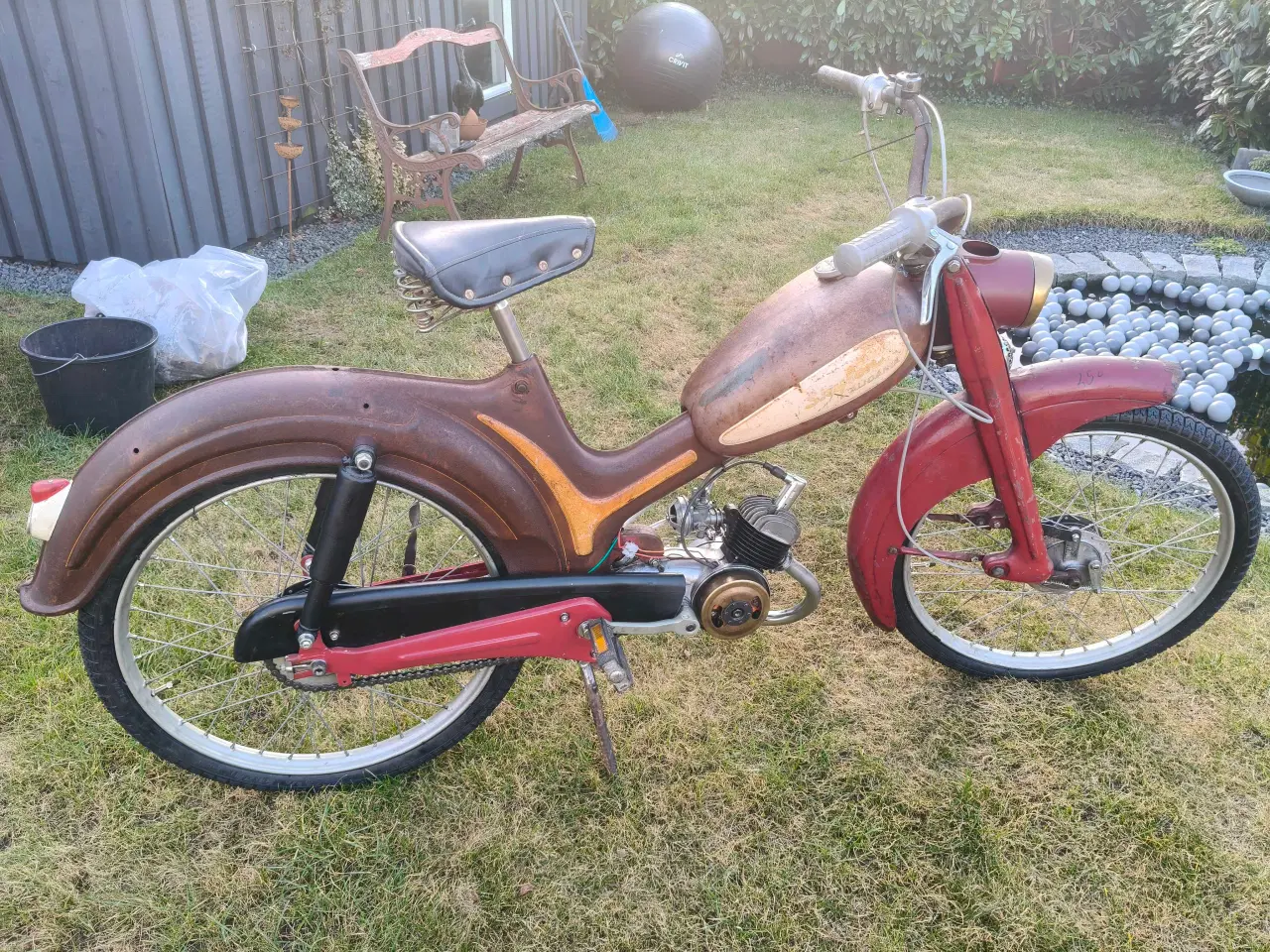 Billede 2 - Skylon alidania