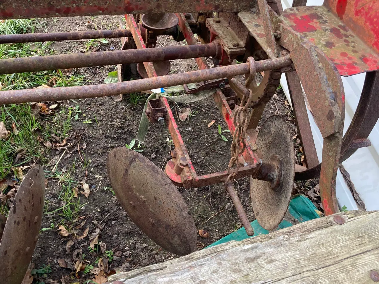 Billede 5 - Kartoffellægger