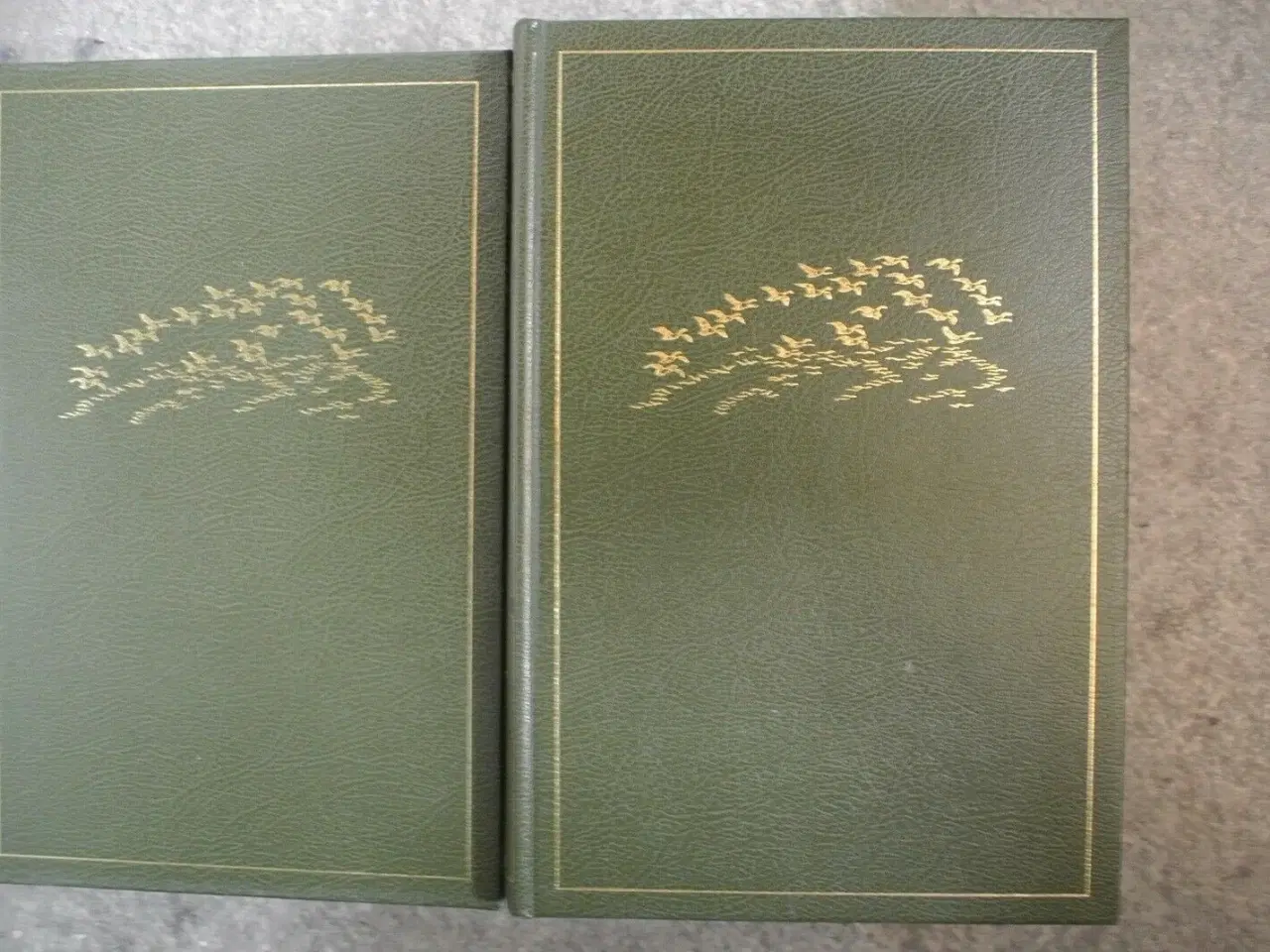Billede 3 - danmarks store øer 1-2, af achton friis. ill. af j