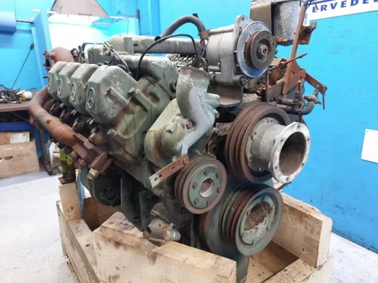 Billede 6 - Mercedes OM442 Motor 442.901-400-587492