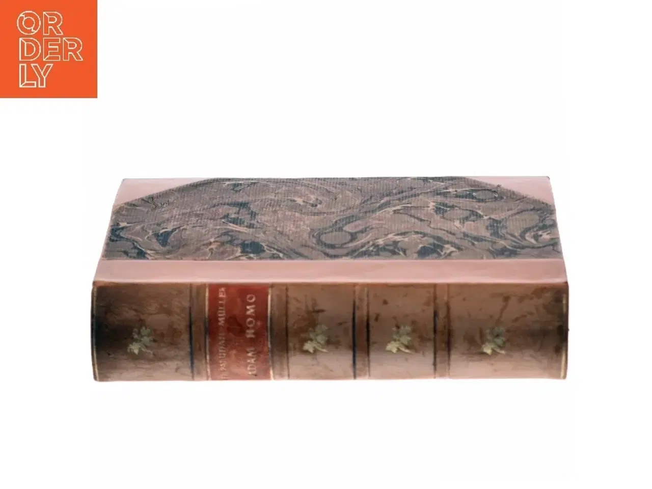 Billede 3 - Adam Homo af Fr. Paludan-Müller (Bog)