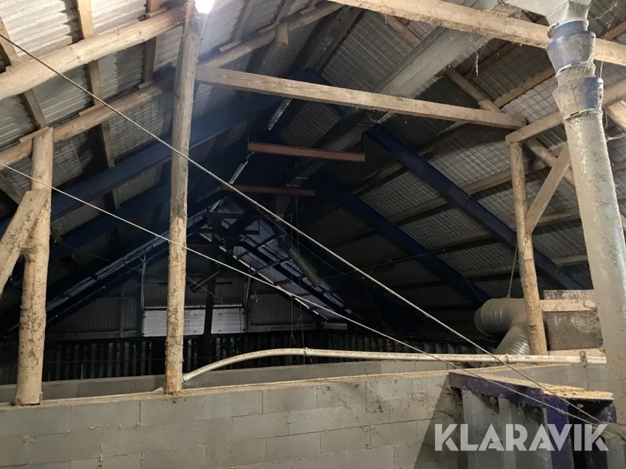 Billede 9 - Kornelevator ? ca 40 tons pr time