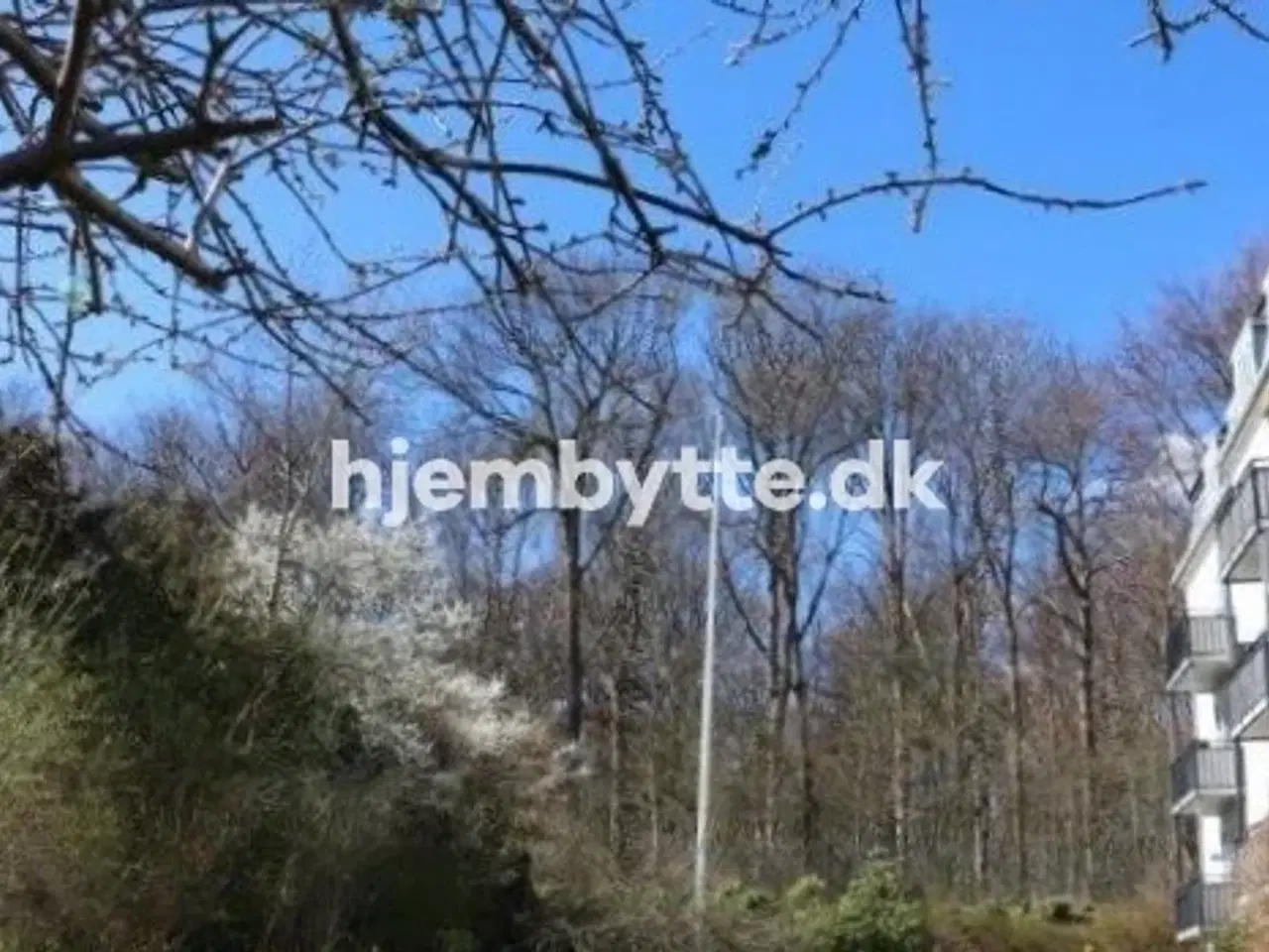 Billede 4 - Hjembytte - Dyrehavevej