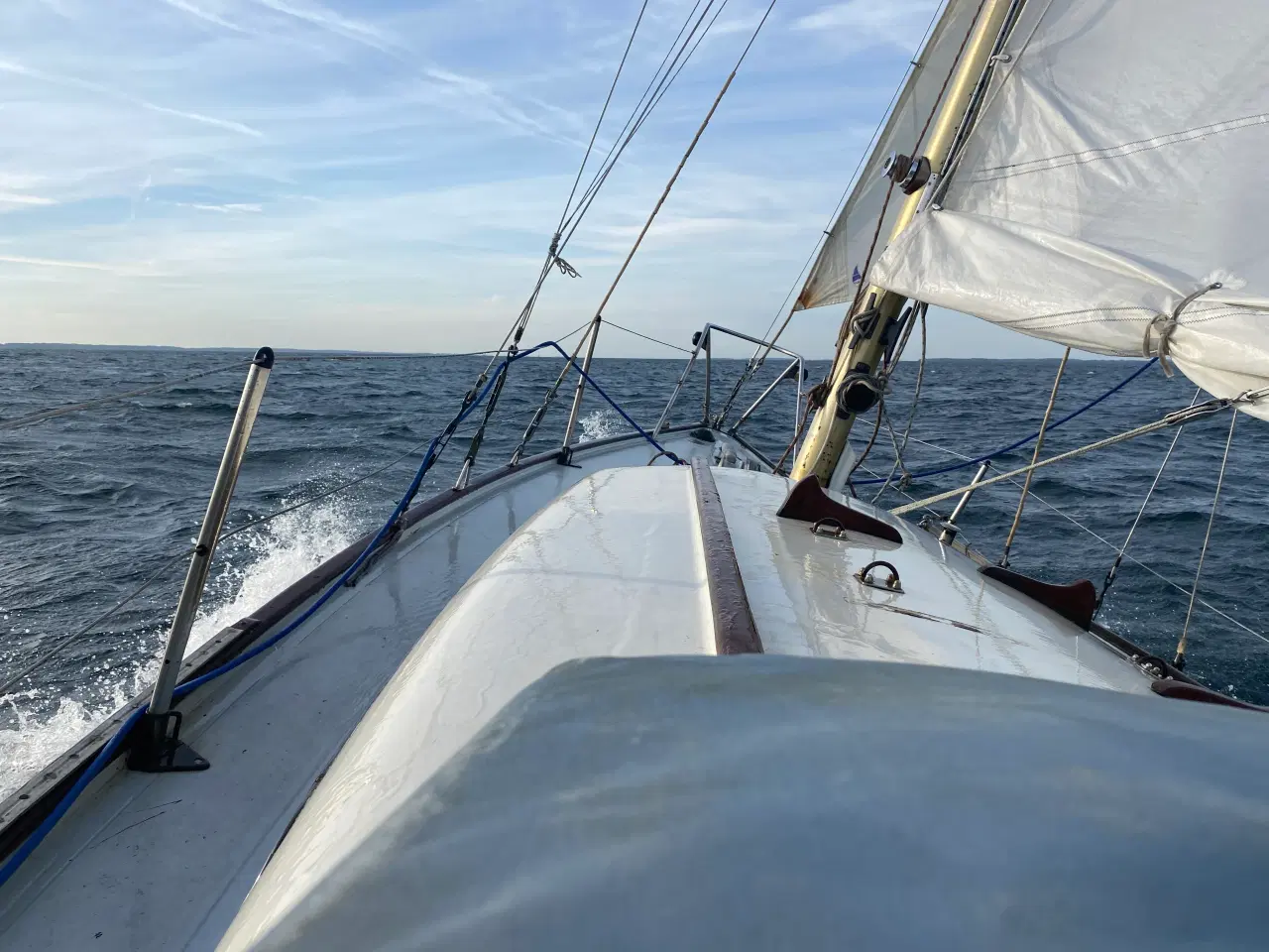Billede 2 -  Robust Havkrydser 