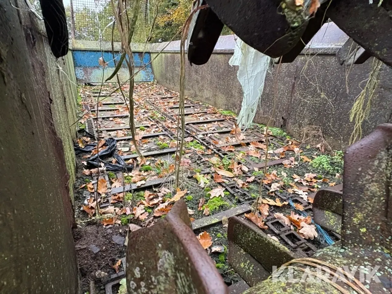 Billede 4 - Møgspreder Samson