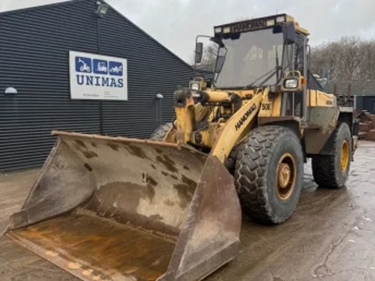 Billede 1 - Liebhaver gummiged