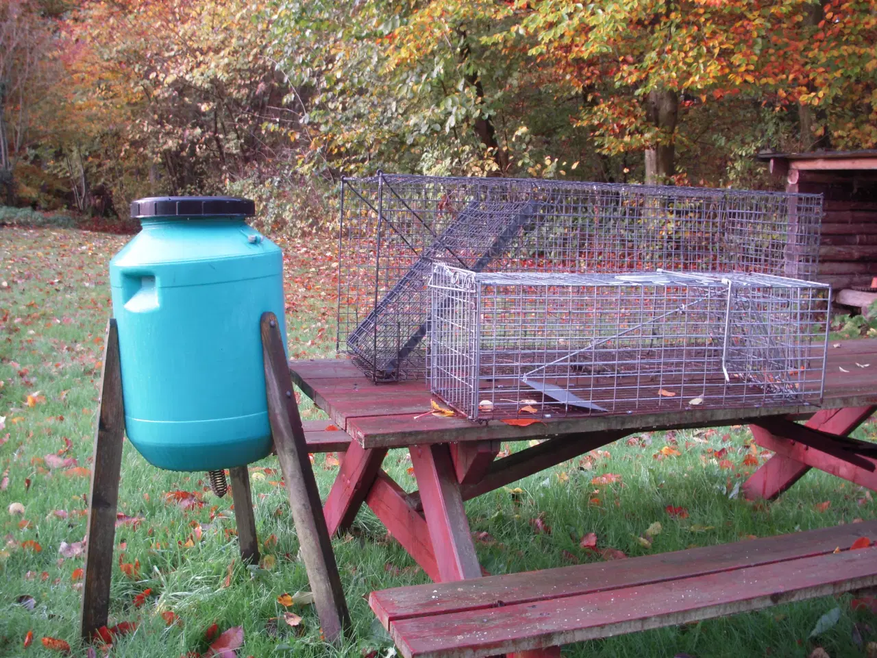 Billede 1 - Rævefælde + mårfælde+fodertønde