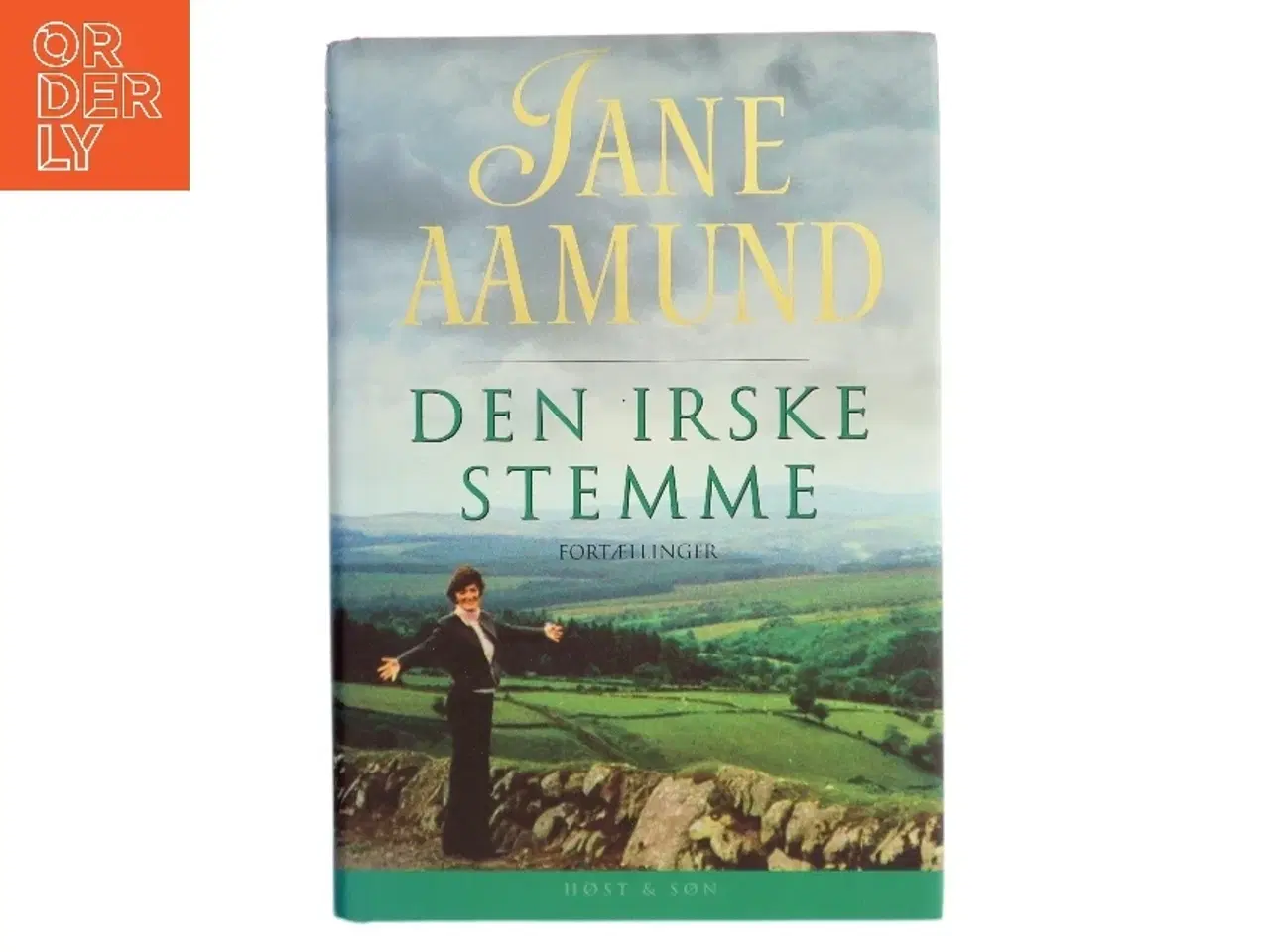 Billede 1 - Den irske stemme : fortællinger af Jane Aamund (Bog)