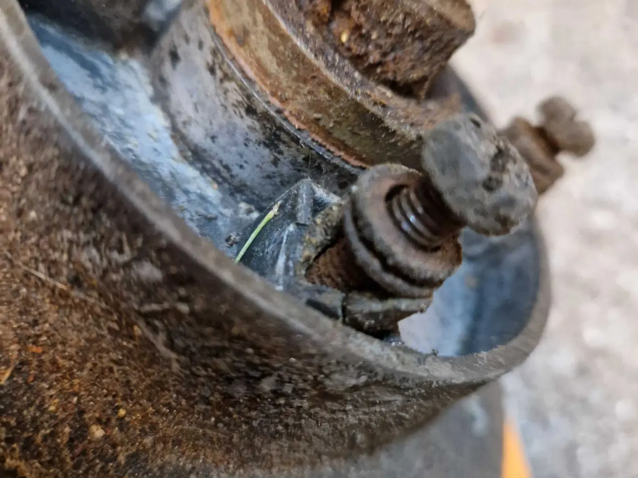 Billede 3 - Crecent monarch bagnav