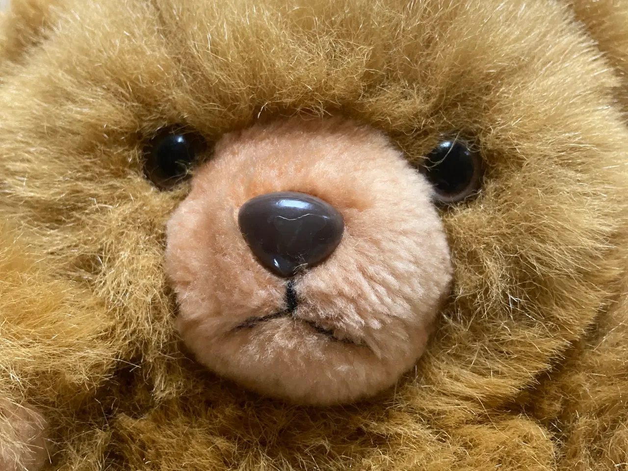 Billede 1 - Plysbamse - hygge krammedyr