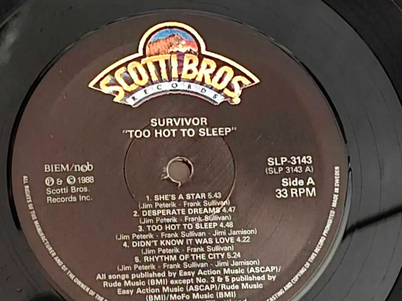Billede 5 - SURVIVOR : Too hot to sleep