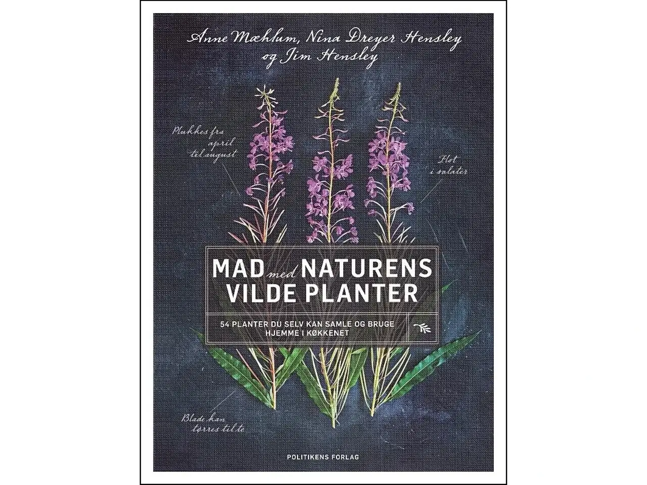 Billede 1 - Mad med naturens vilde planter