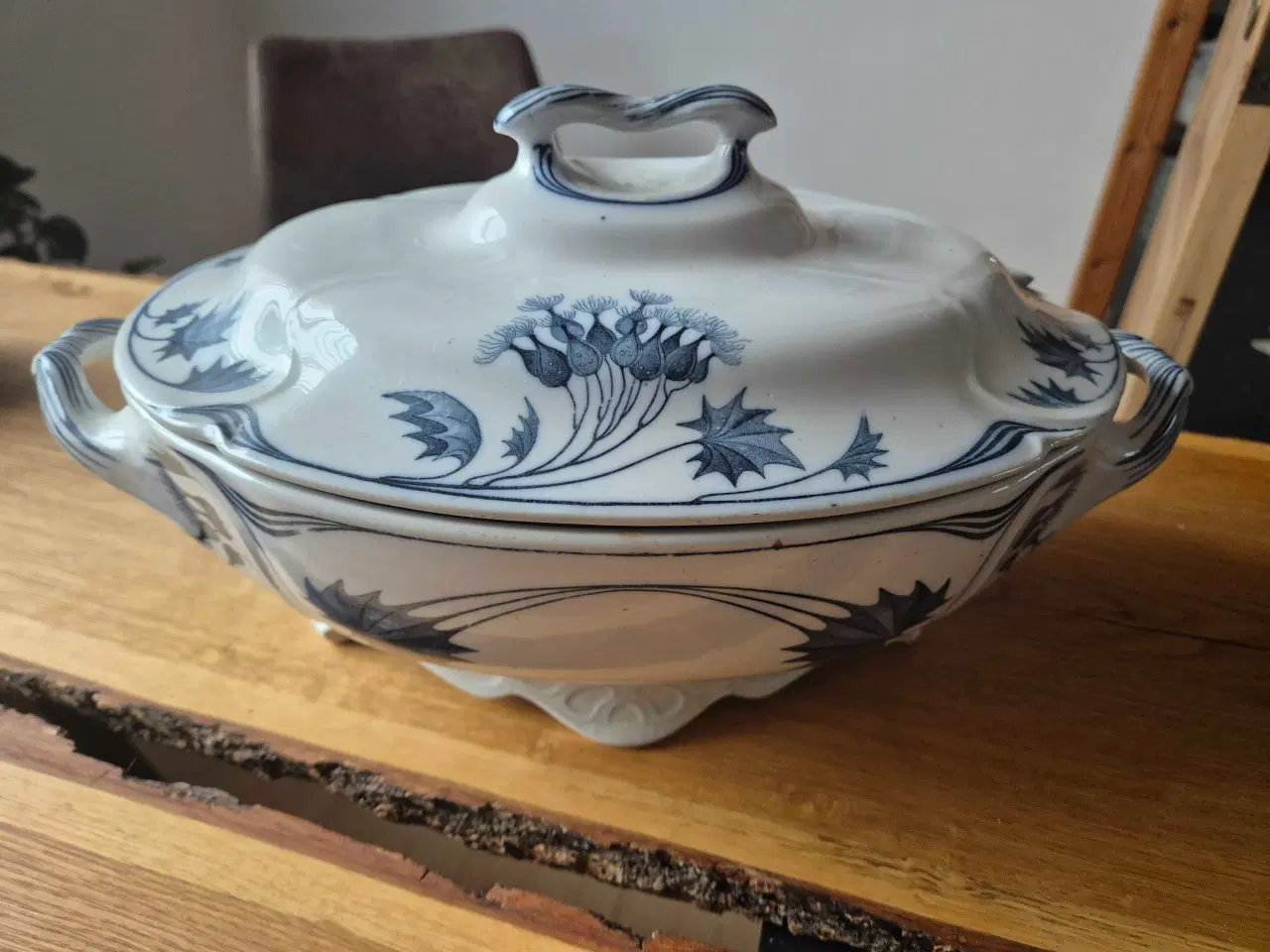 Billede 1 - Suppeterrin