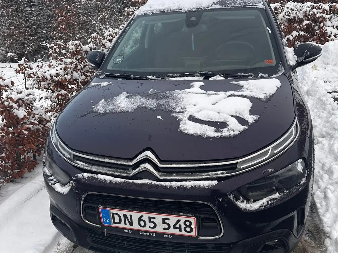 Billede 2 - Citroën C4 Cactus 1,6 BlueHDi 100 BlackLine