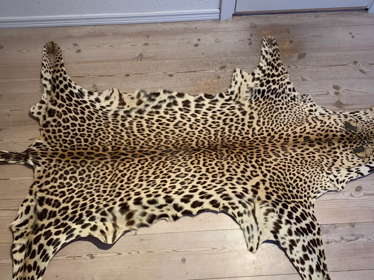 Billede 3 - Leopard Skind