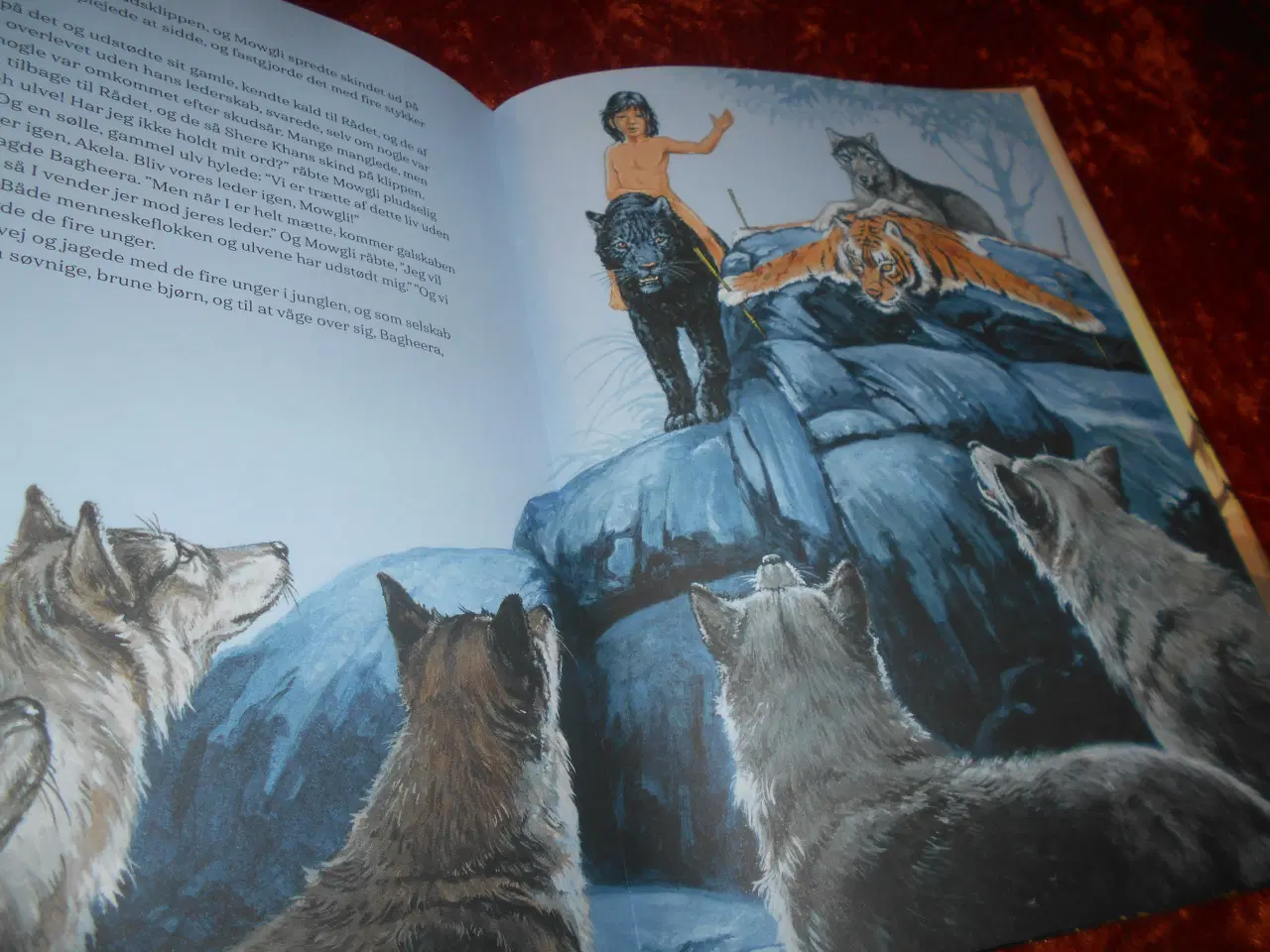 Billede 4 - Junglebogen, Rudyard Kipling