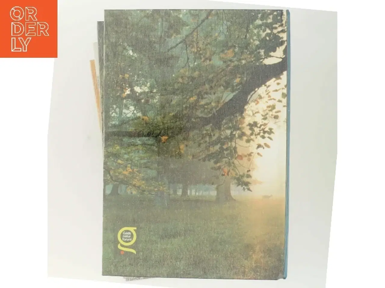 Billede 3 - Danmarks natur af <Bog forfattere< (Bog)