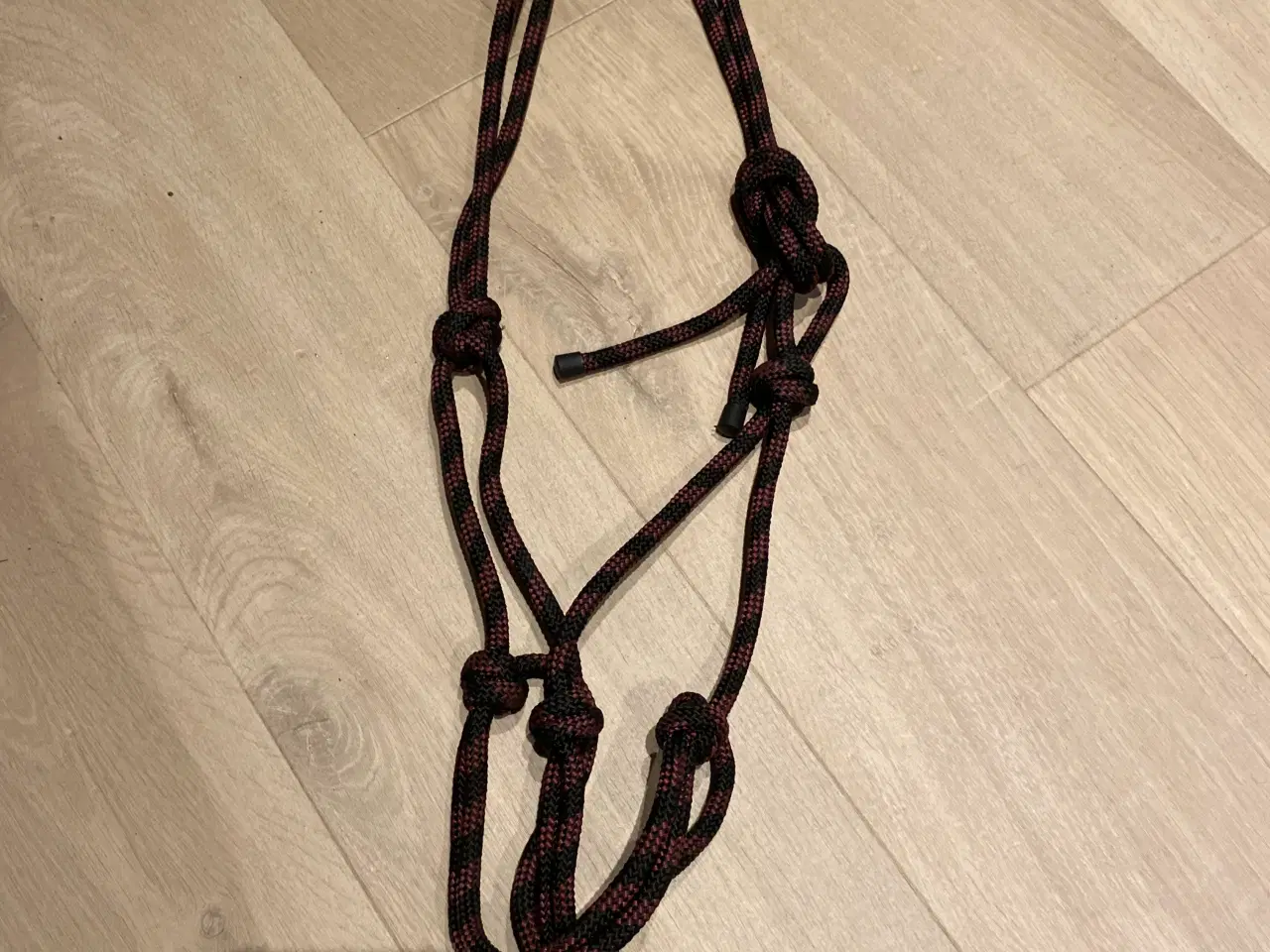 Billede 8 - Rideudstyr sælges 