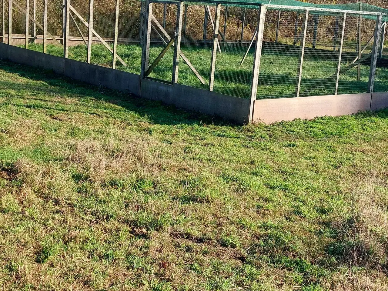 Billede 3 - Voliere sælges