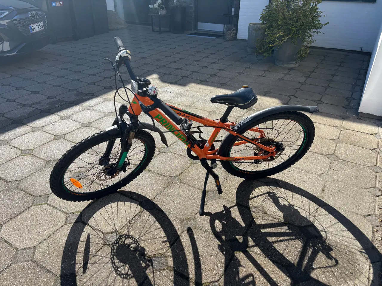 Billede 1 - Principia Evoke 24"