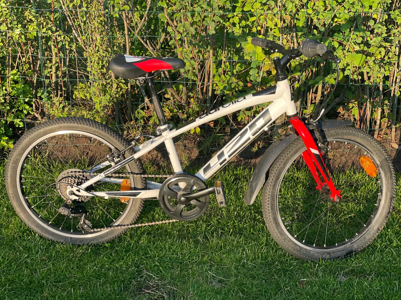 Billede 1 - 20 tommer børnecykel