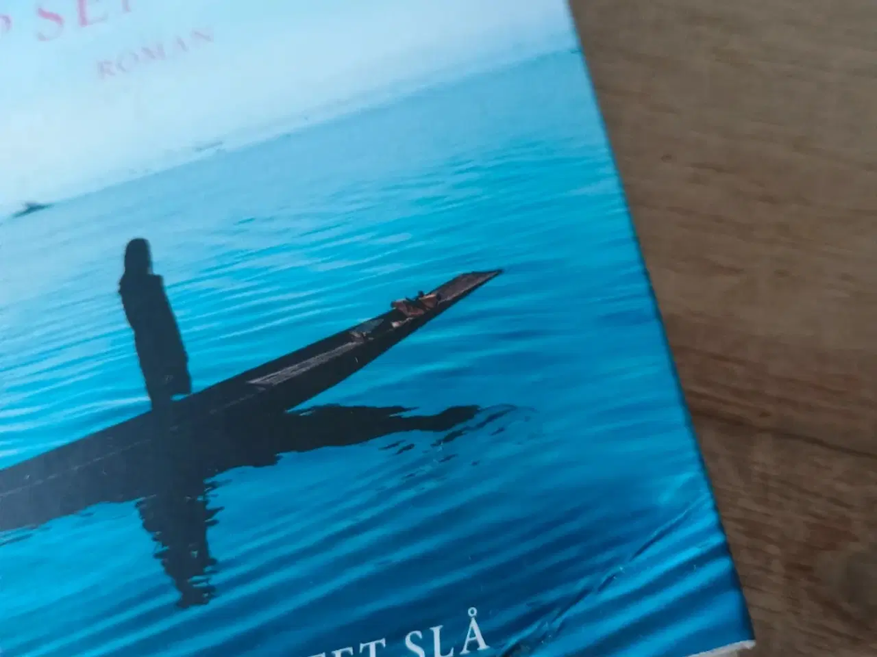 Billede 2 - Hjertets Stemme, roman