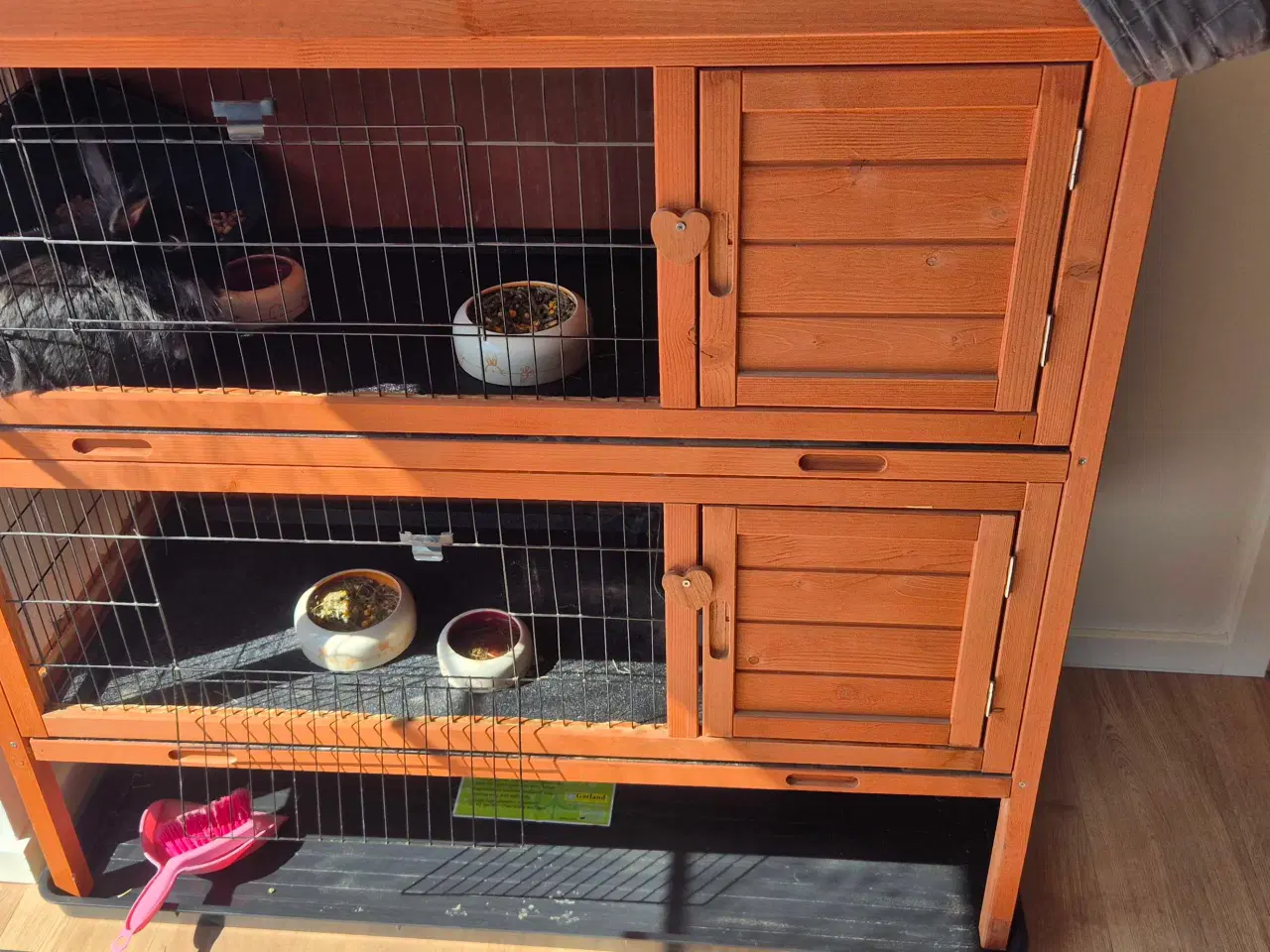 Billede 3 - kaniner til sælg med tilbehør.