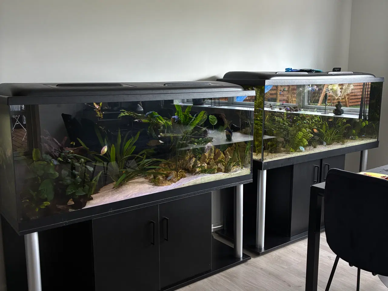 Billede 1 - Akvarier på 450L