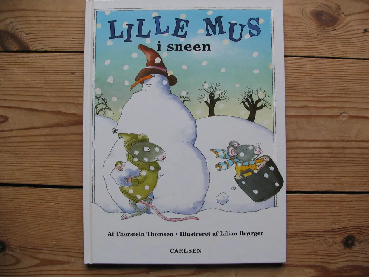 Billede 1 - Lille mus i sneen