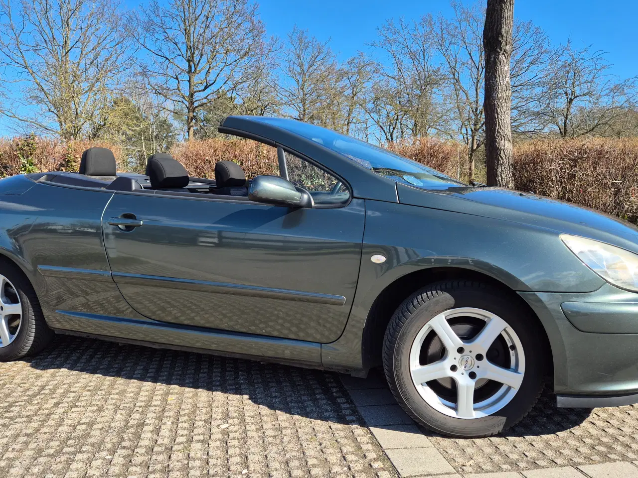 Billede 1 - 307 Cabriolet 