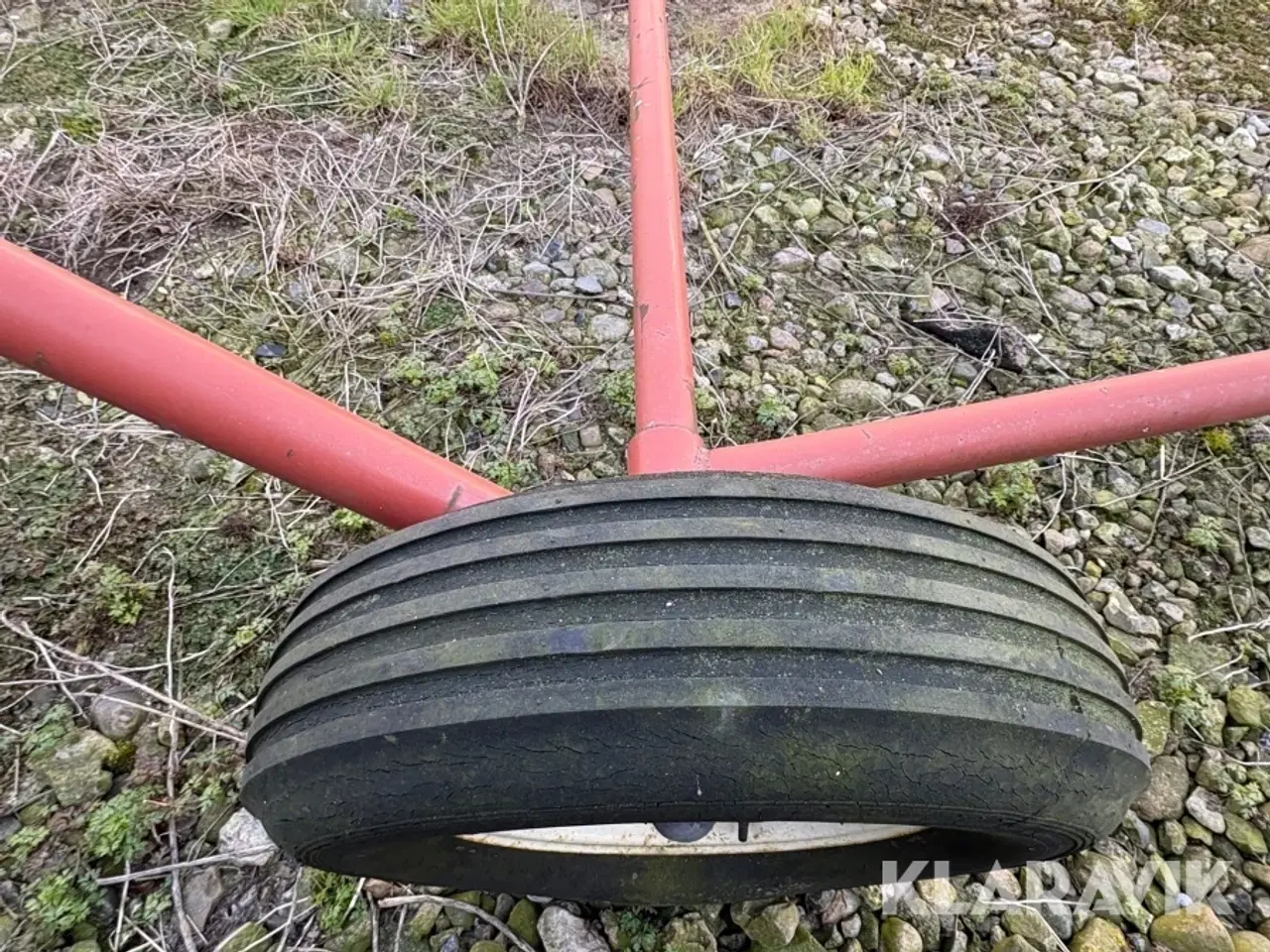 Billede 10 - Kornsnegl Hutchinson