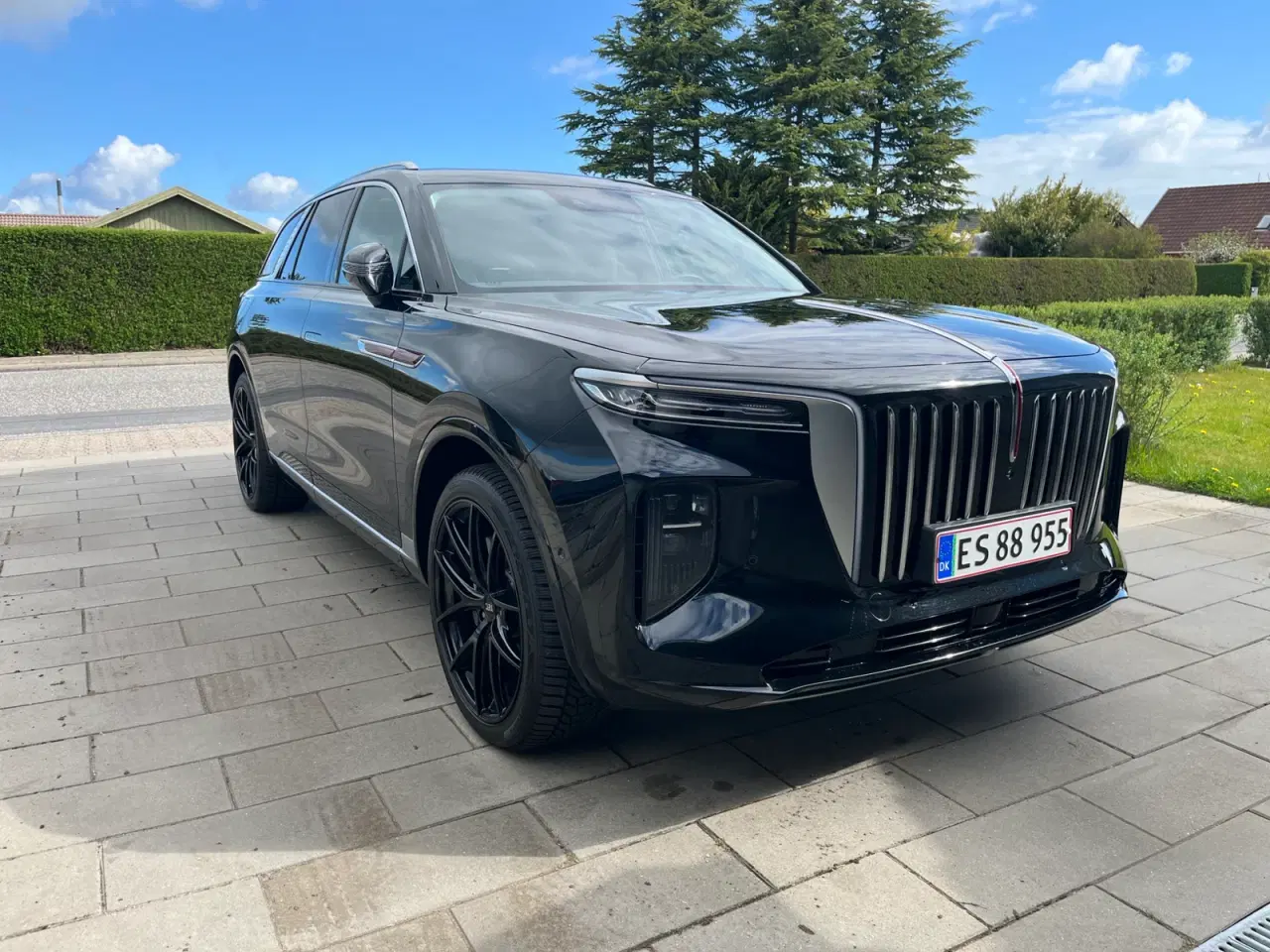 Billede 1 - Hongqi E-HS9 99 Premium