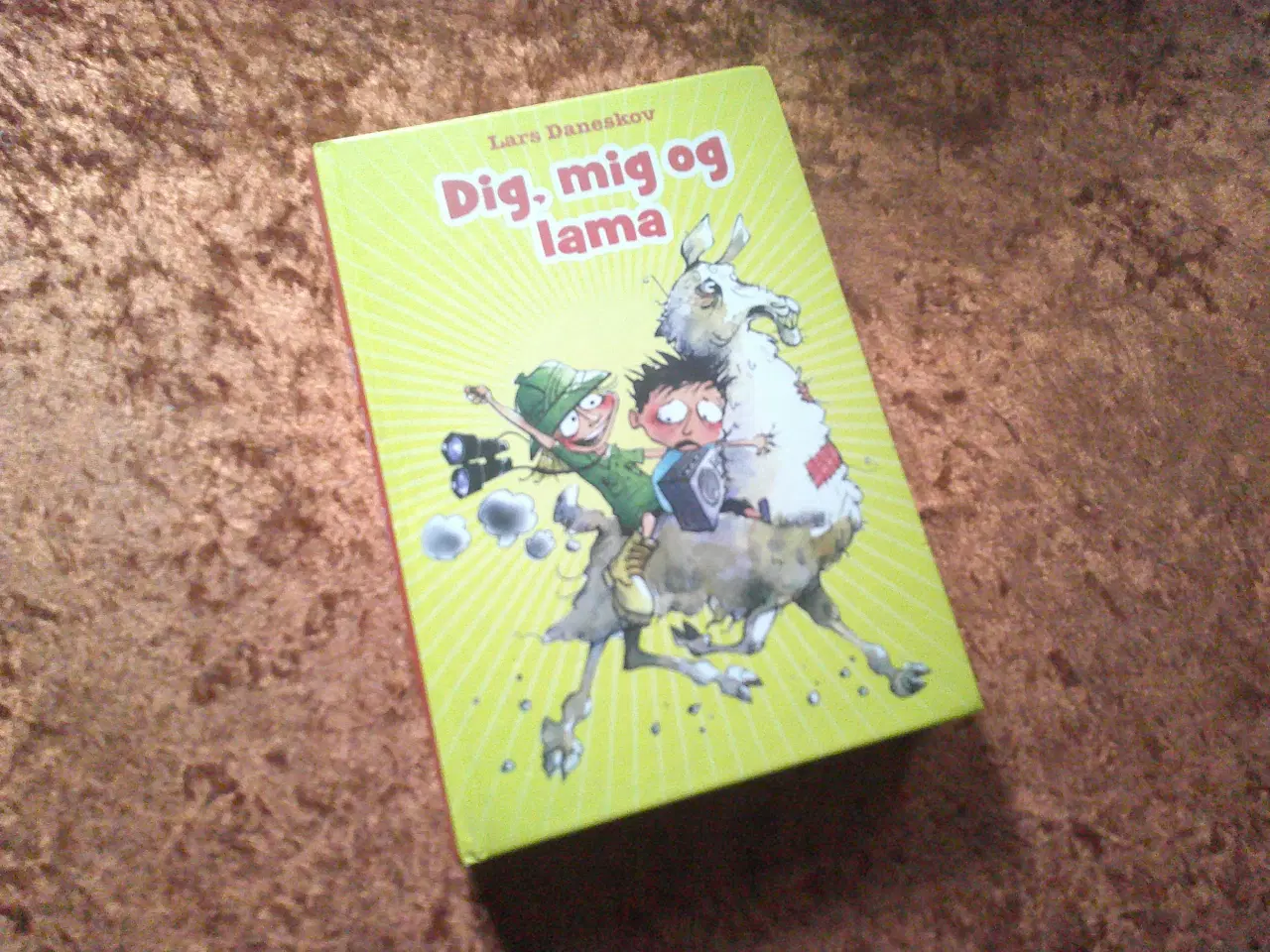 Billede 1 - Dig, mig og Lama, Lars Daneskov, 