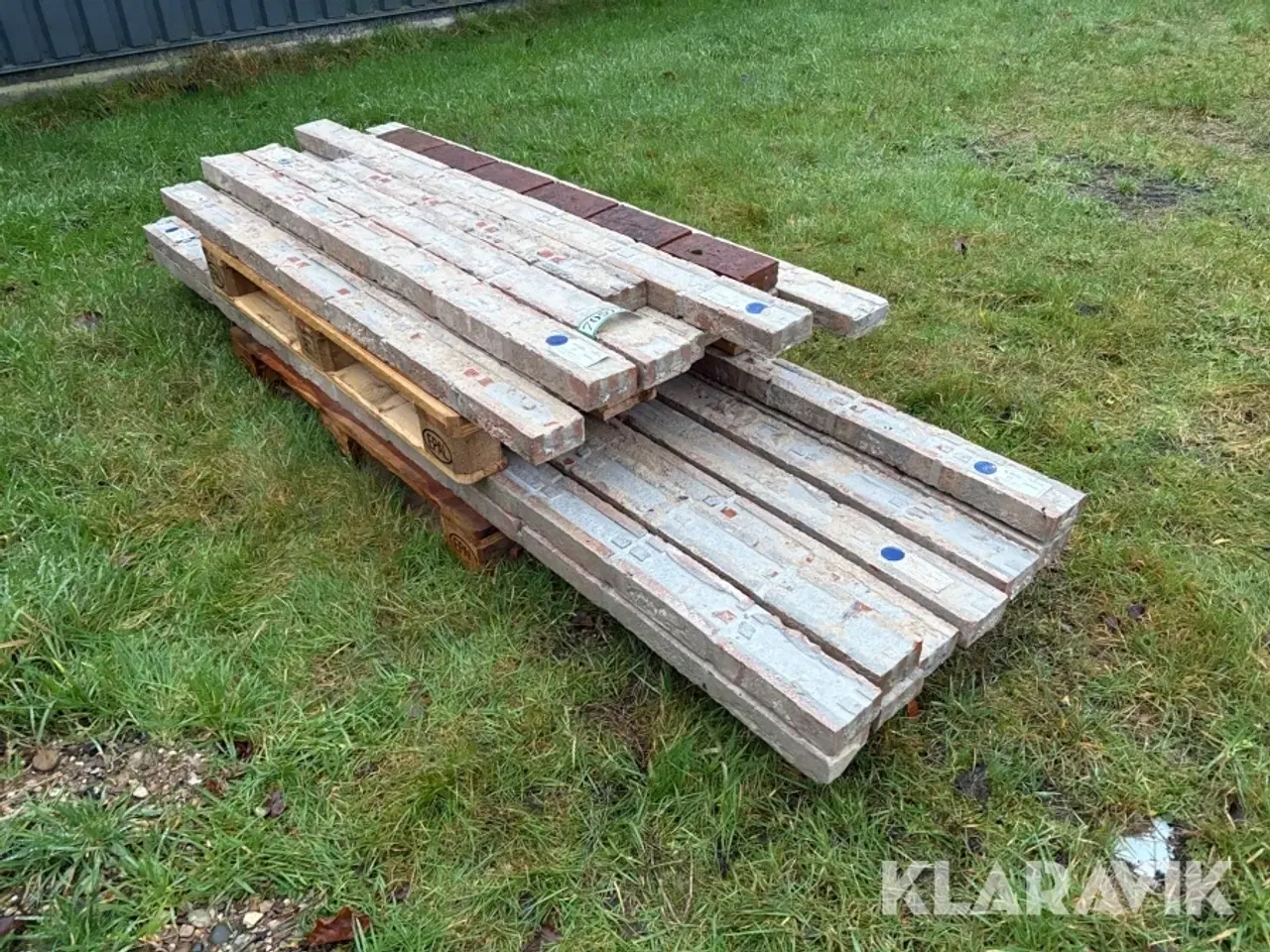 Billede 1 - Overlæggere 21 styk